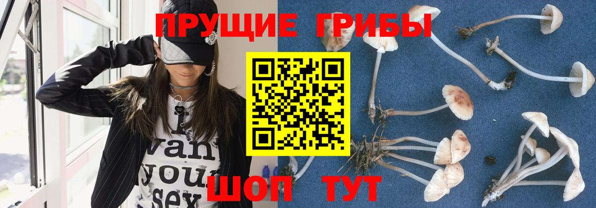 Галлюциногенные грибы Psilocybine cubensis  Вход с VPN  Балашиха 